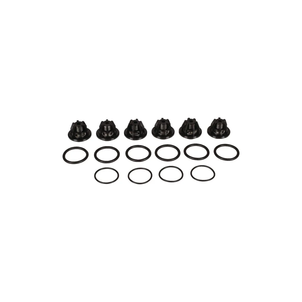[AMAT2-177243] Set supape Bertolini 639870973