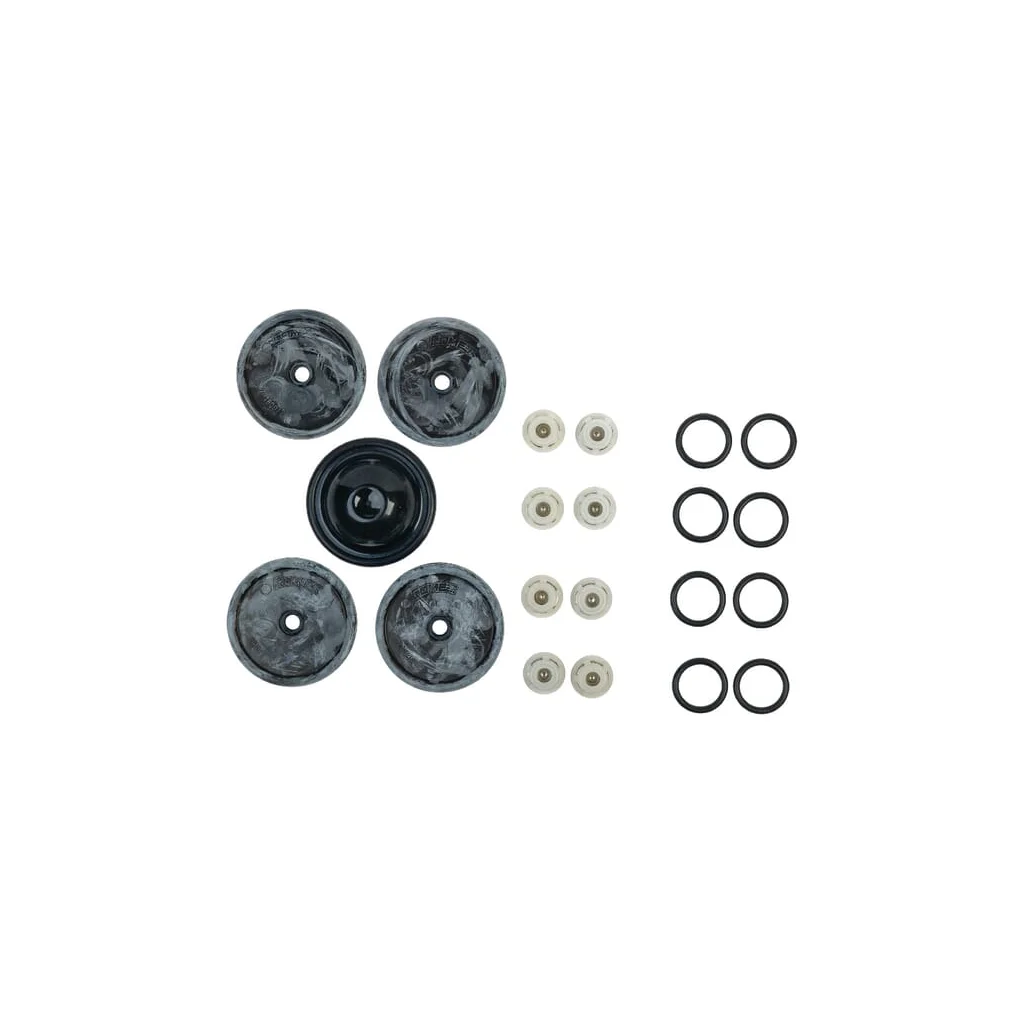 [AMAT2-176415] Set  de reparaţie pompă, BP 151K 628550260145