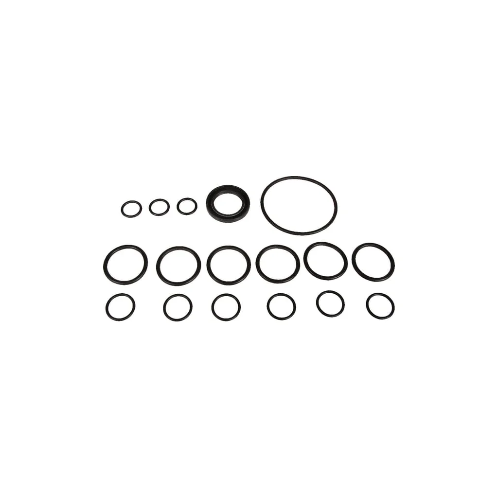 [AMAT2-176470] Set piese de rezervă pompă Bertolini 629803973