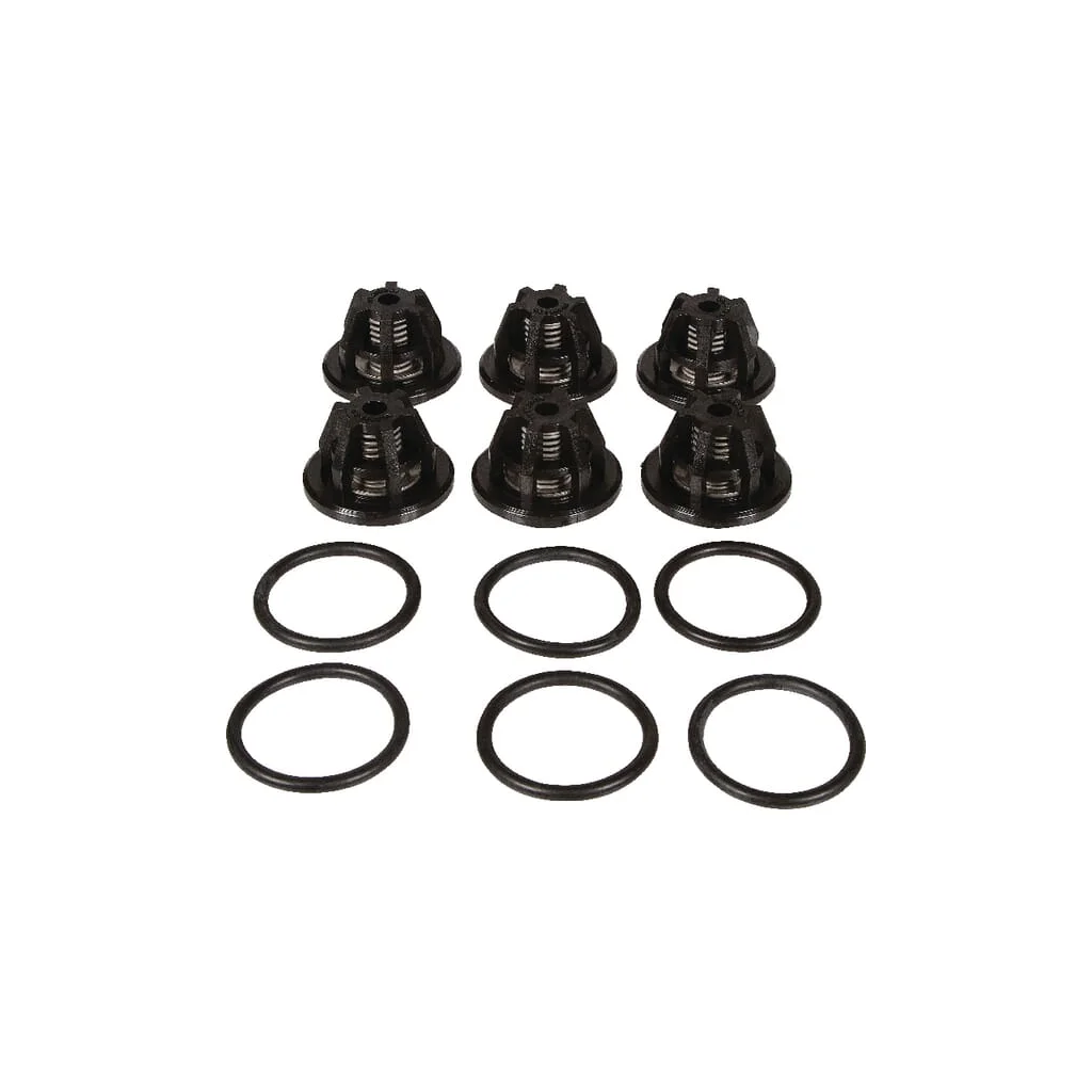 [AMAT2-176658] Set supape Bertolini 629804973