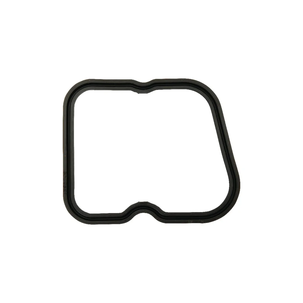 [AMAT2-171278] Garnitură capac culbutor 6005031156
