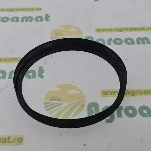 [AMAT1-26075] Inel Metalic 1610183M1