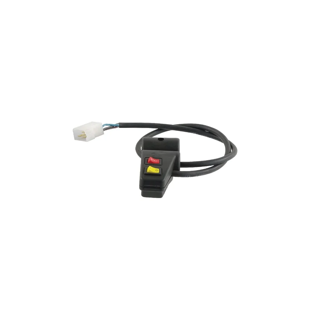 [AMAT2-183387] Comutator cu buton 6990053