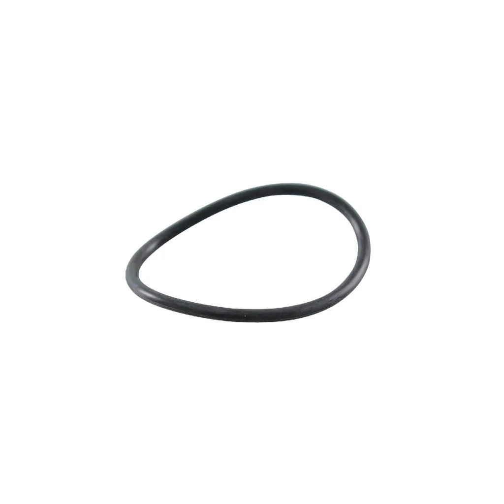 [AMAT2-182605] O-ring 697123