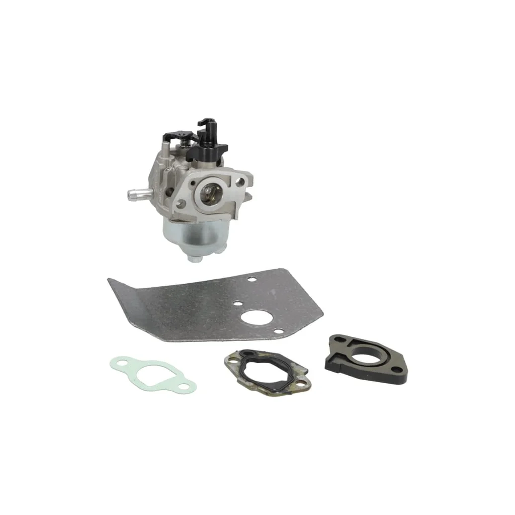 [AMAT2-194944] Carburator asamblat 75110309