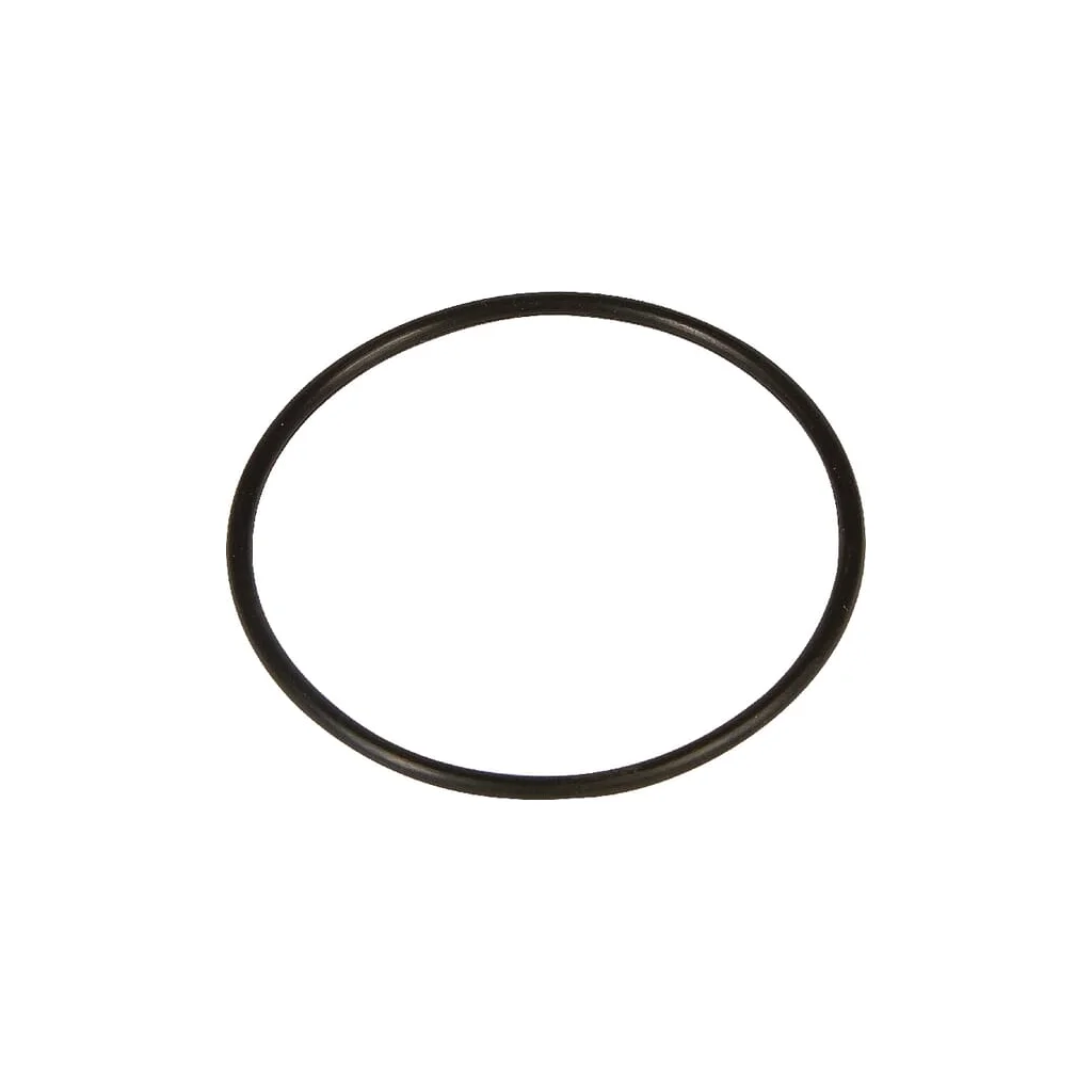 [AMAT2-187694] O-ring 55x2,5 71202070880