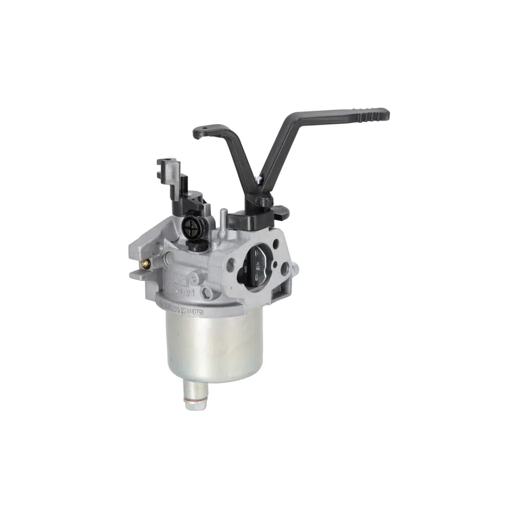 [AMAT2-185624] Carburator 704930