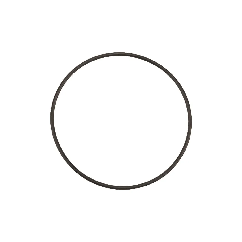 [AMAT2-187870] O-ring 71202070950