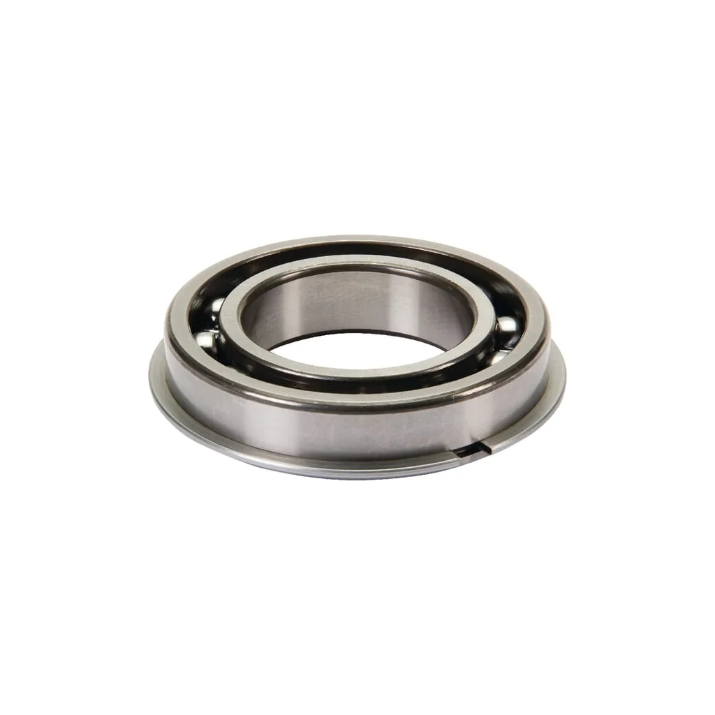 [AMAT2-198473] Rulment 7700027434