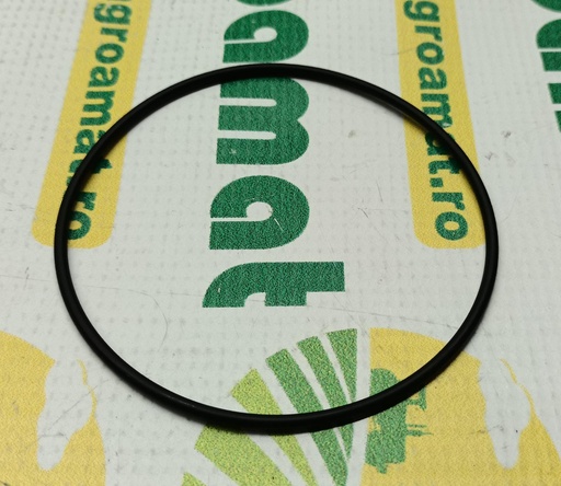 [AMAT1-15394] O-Ring 2.1539.025.0/10