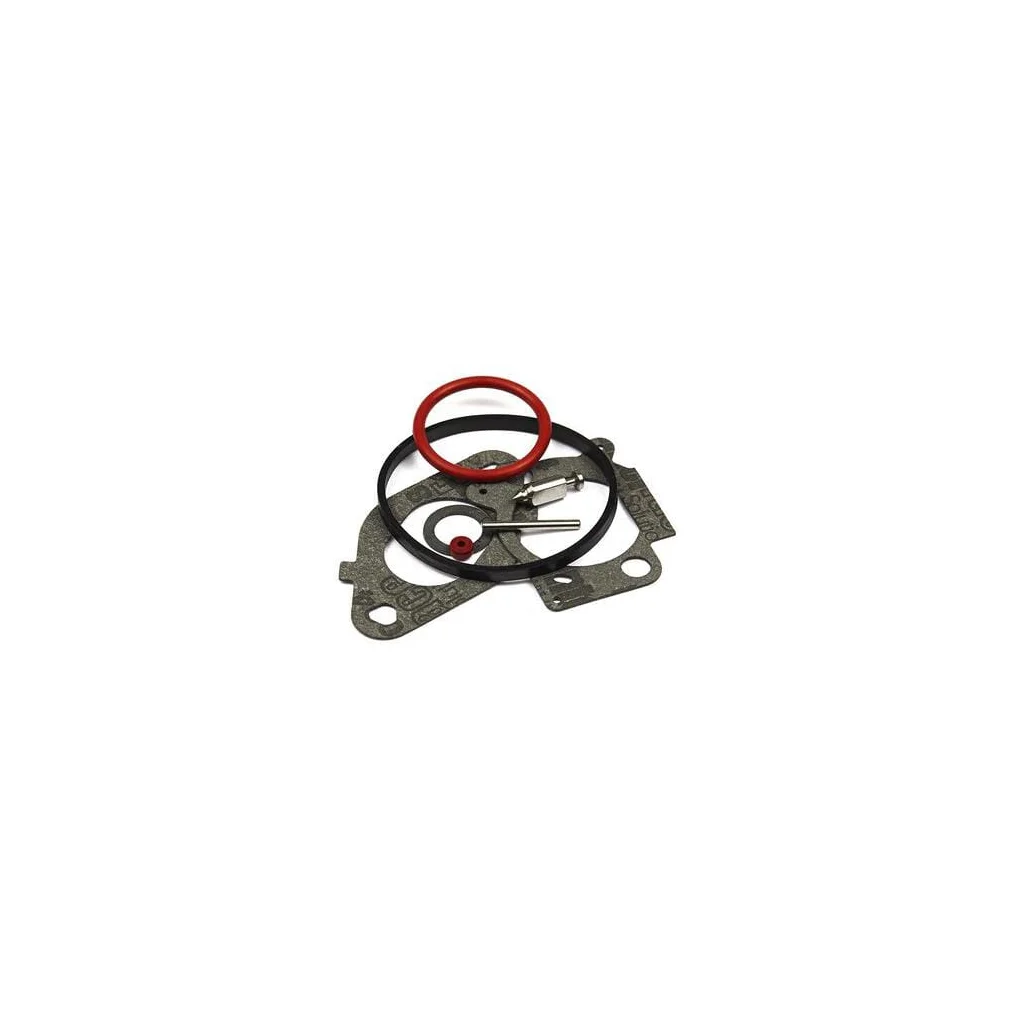 [AMAT2-199144] Kit de reparare carburator 796612