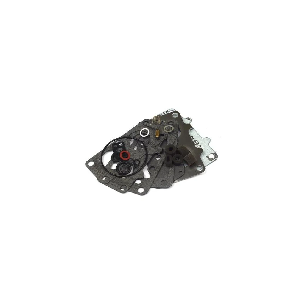 [AMAT2-199835] Kit de reparare carburator 797890