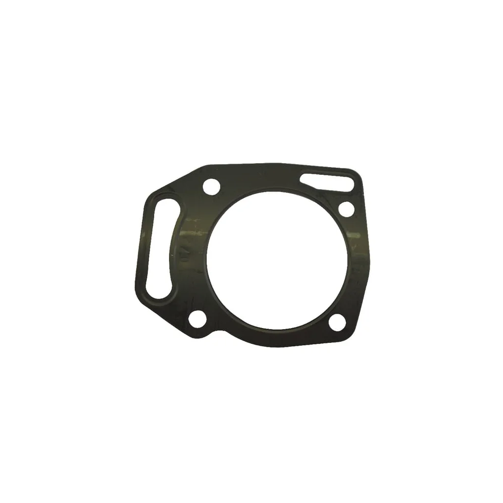 [AMAT2-202491] Garnitură chiuloasă 805653S
