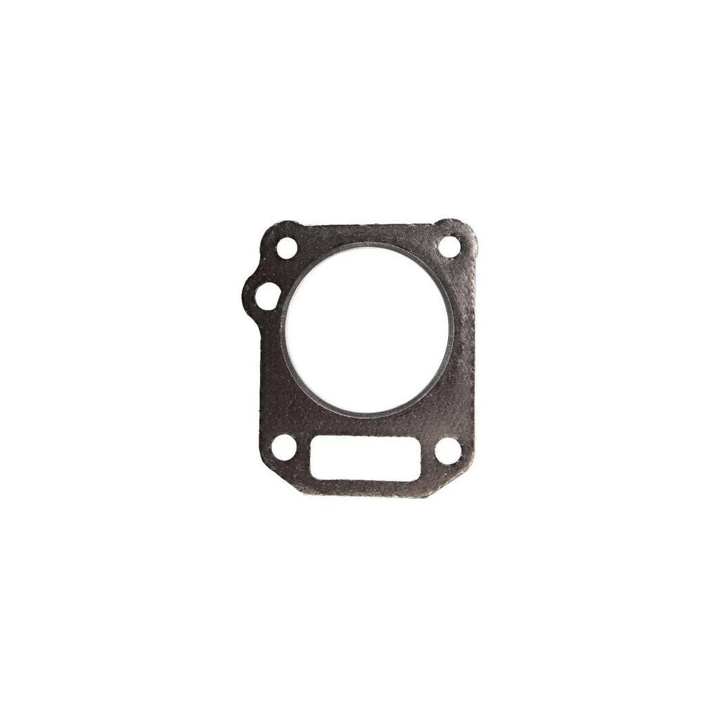 [AMAT2-200009] Garnitură chiuloasă 797212
