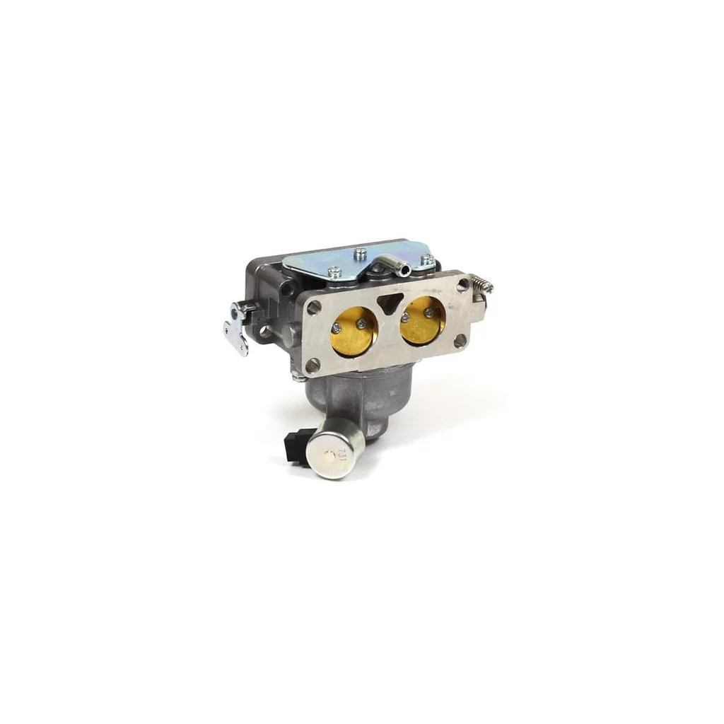 [AMAT2-200074] Carburator 796997