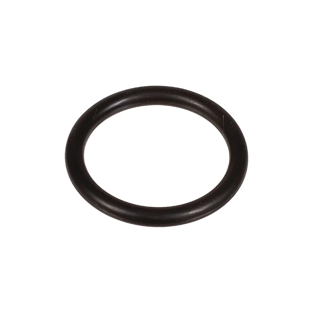 [AMAT2-202920] O-ring 18,72x2,62mm 70 shore EPDM negru Bertolini 803189002