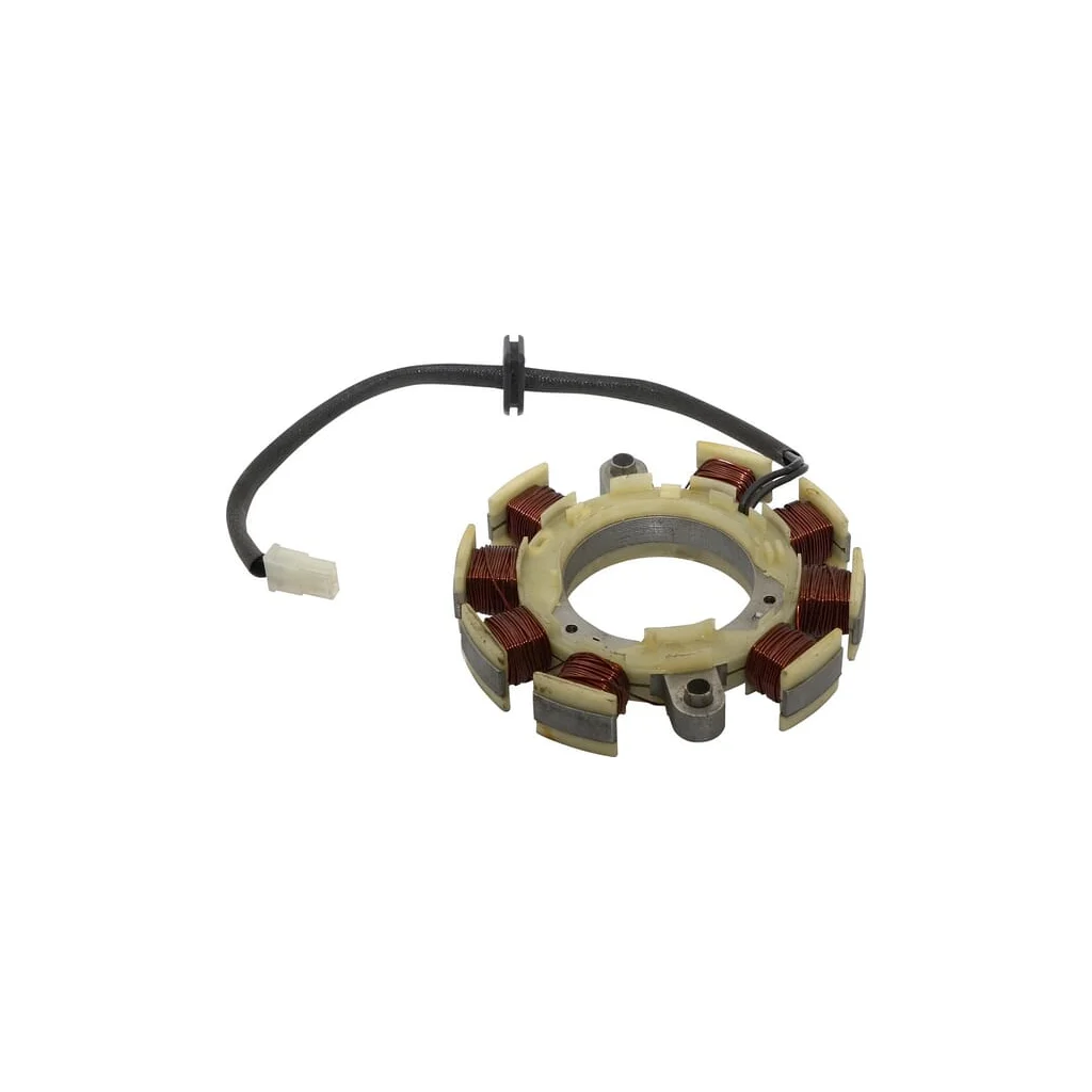 [AMAT2-200451] Stator alternator 799843