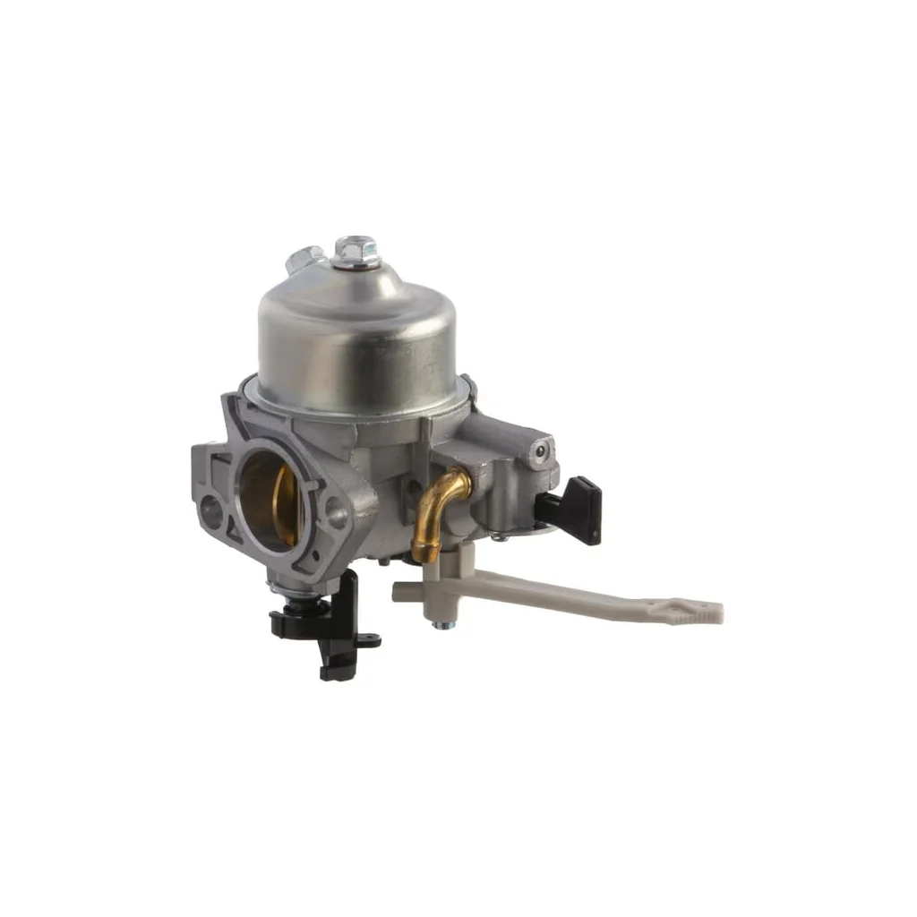 [AMAT2-200579] Carburator 799882