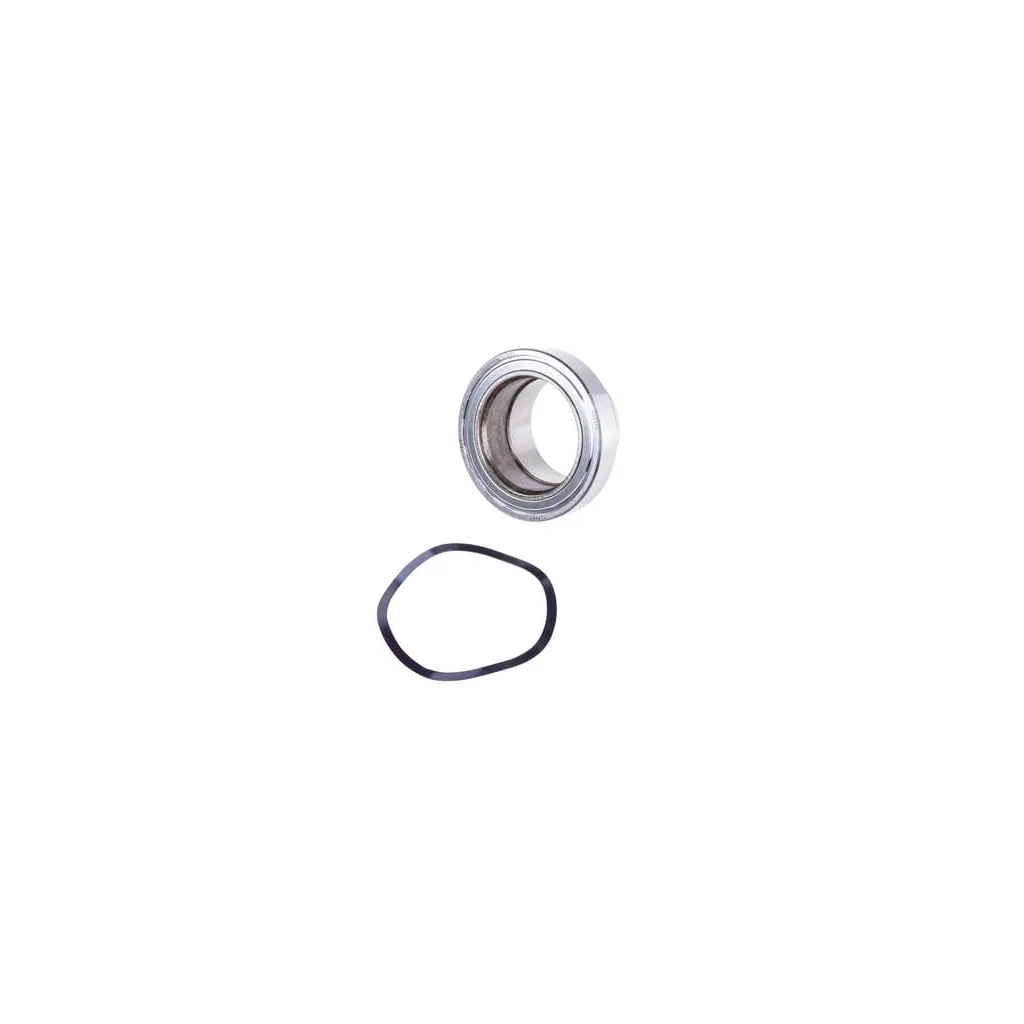 [AMAT2-203177] Rulment presiune 806648GF