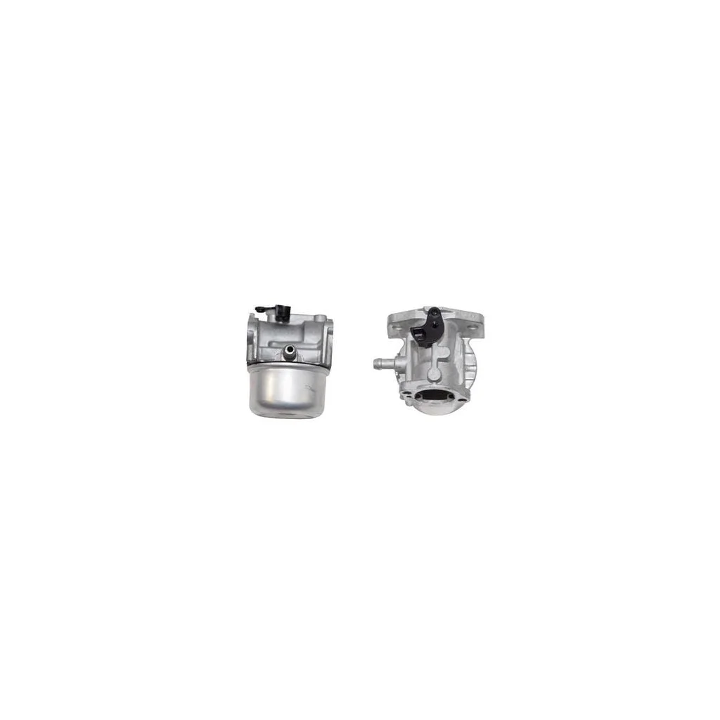 [AMAT2-200768] Carburator 799868