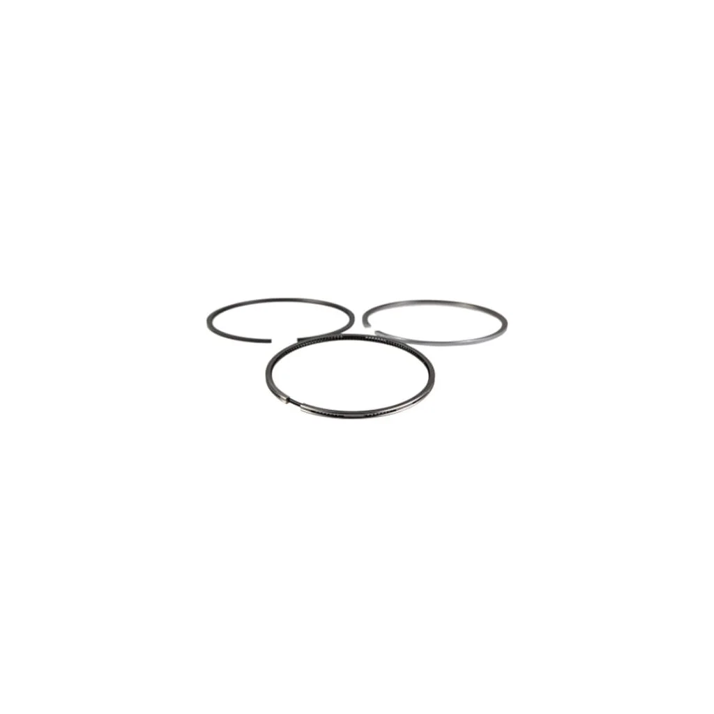 [AMAT2-203512] Set inel piston, standard 8094845FPT