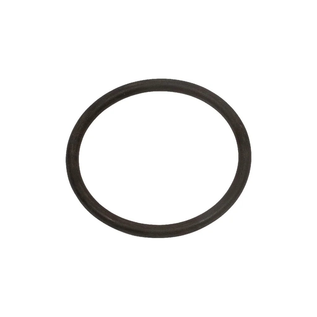 [AMAT2-191761] O-ring 74202071110