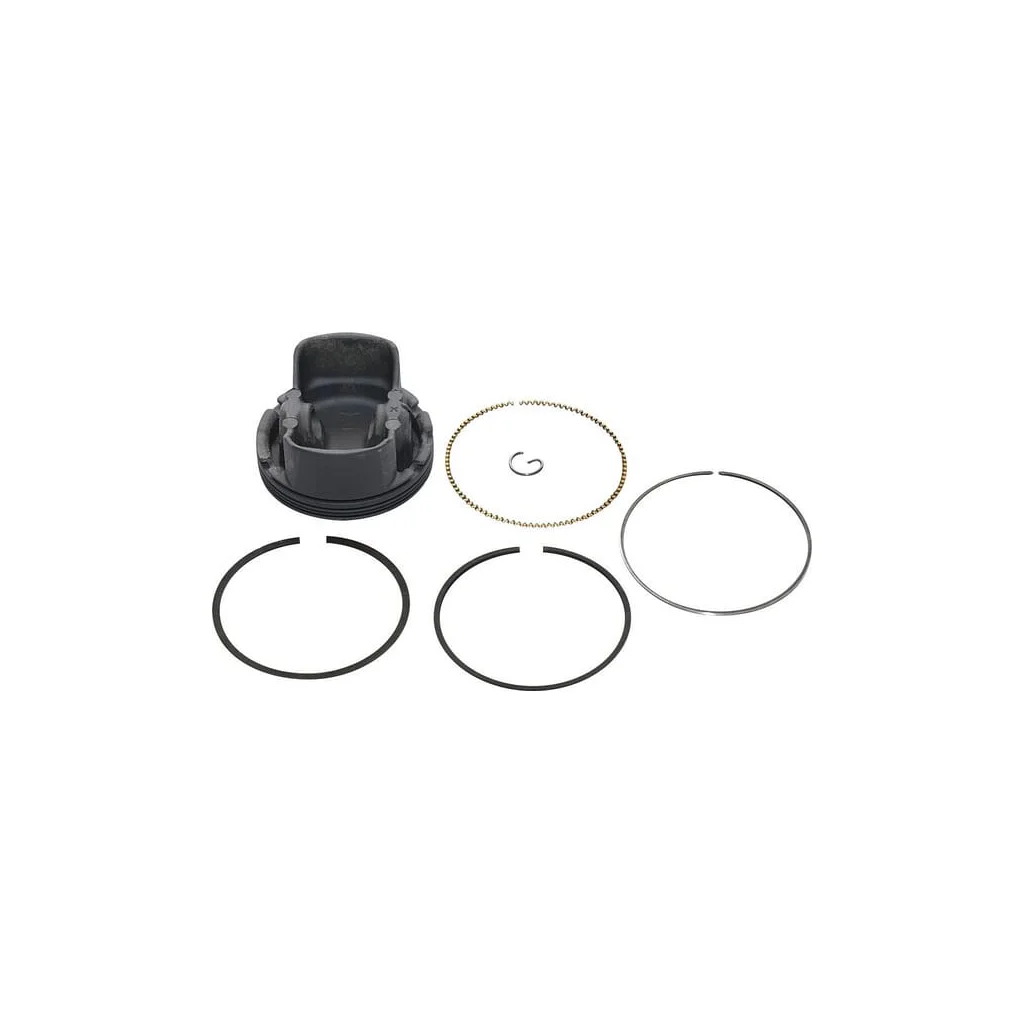 [AMAT2-200978] Piston complet standard 799270