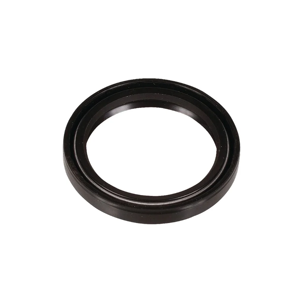 [AMAT2-201178] Set garnituri diametru 38x48mm Bertolini 802170002