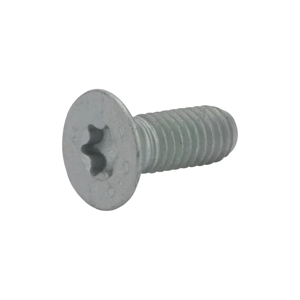 [AMAT2-201200] Șurub cu cap încecat Torx FE/ZN 80110614