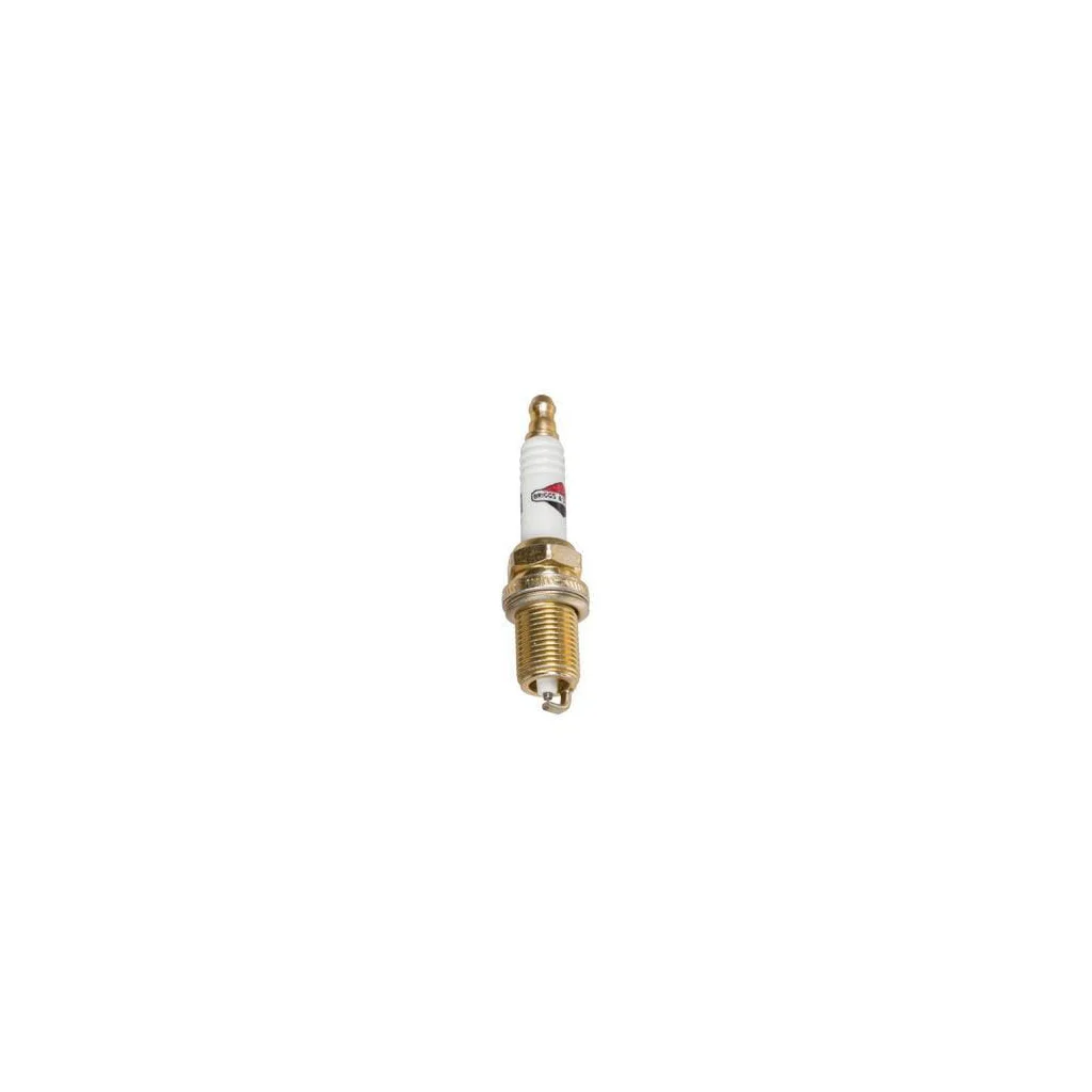 [AMAT2-197353] Bujie Briggs &amp, Stratton 793541