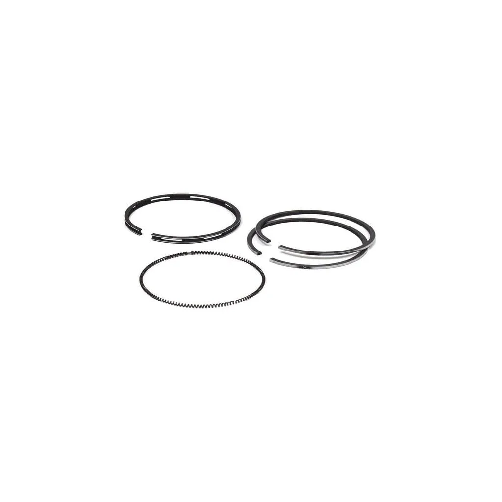 [AMAT2-197441] Set segmente piston standard 792366