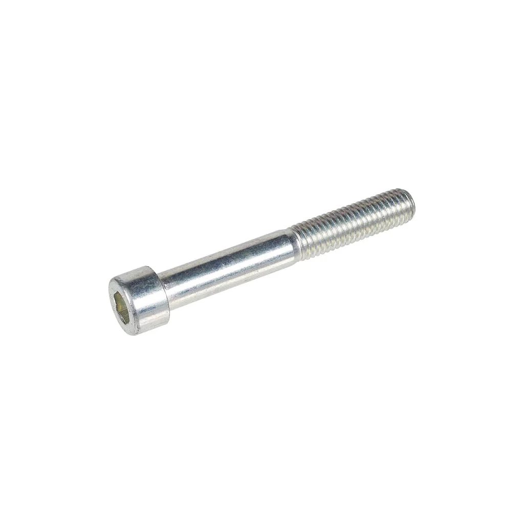 [AMAT2-214916] Șurub Bertolini cu cap de cheie 863575002