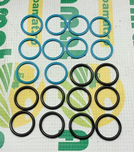 [AMAT1-15249] Set O-Ring Cupla AL205022