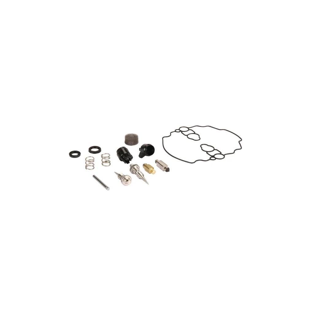 [AMAT2-212066] Kit reparație carburator 842873
