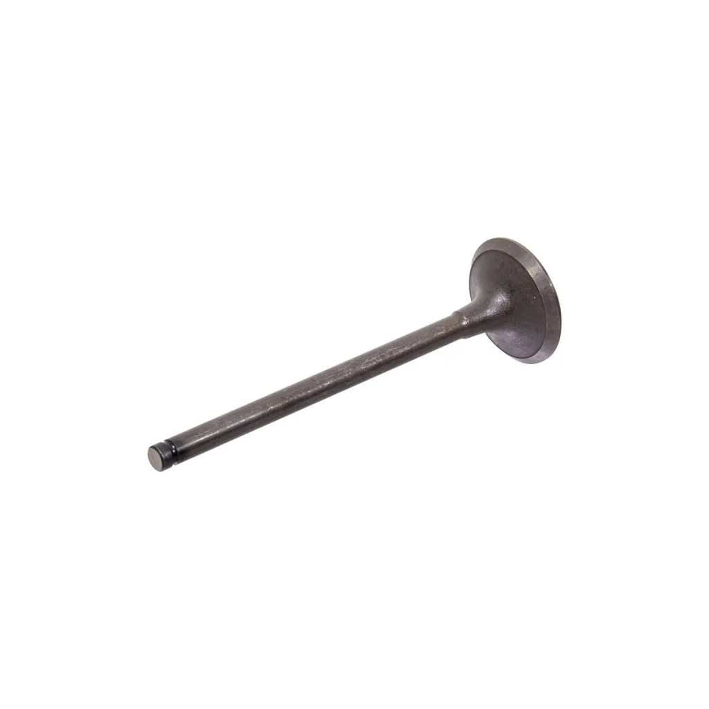 [AMAT2-216718] Termostat 8830045