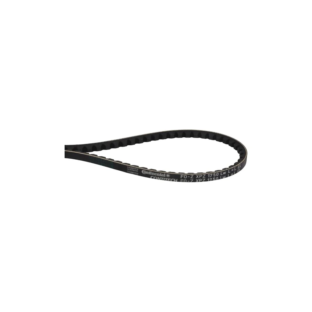 [AMAT2-218889] Curea trapezoidala Rabe 90033401