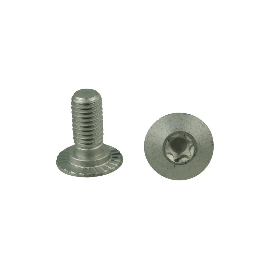 [AMAT2-213288] Șurub Torx M10x23 10.9 84925