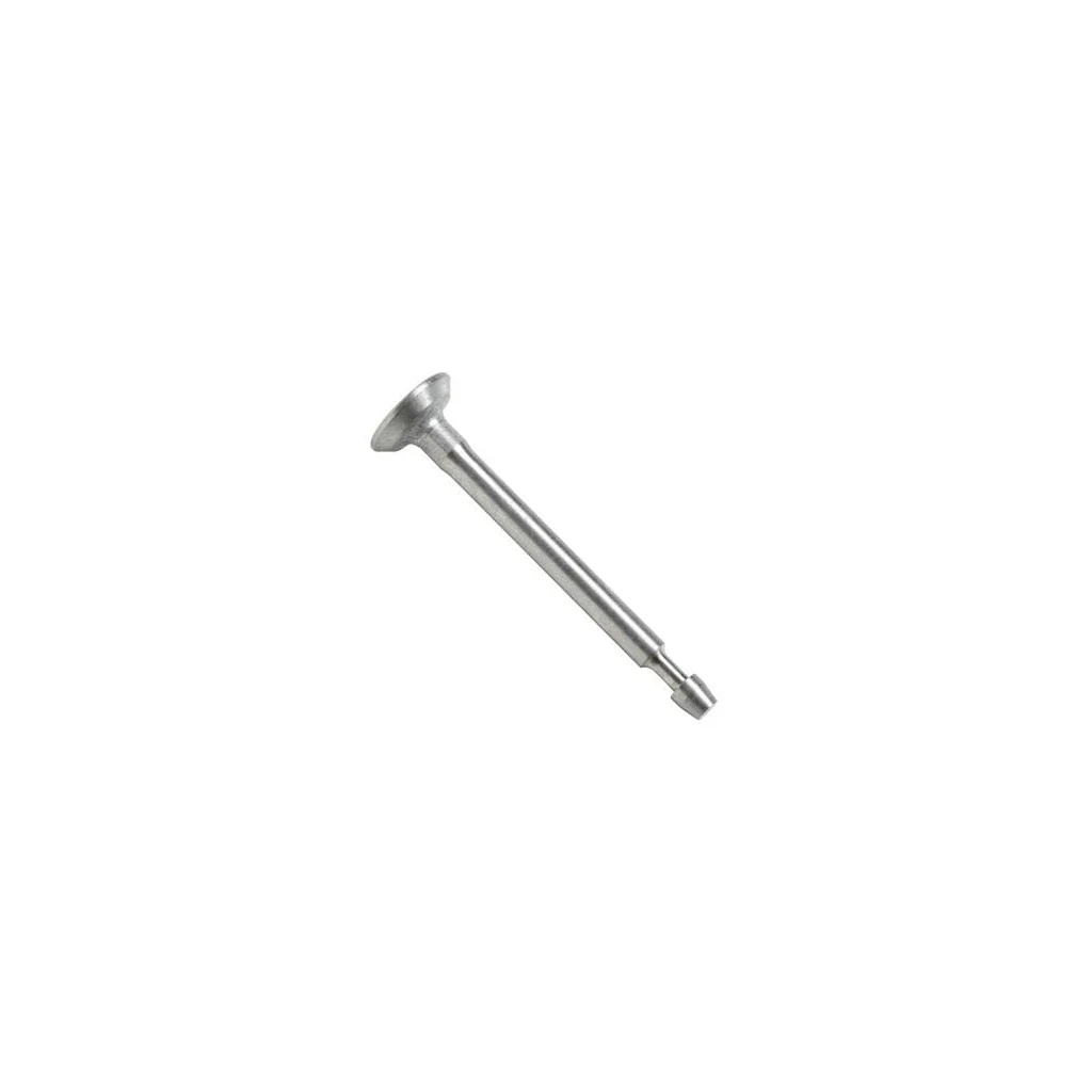 [AMAT2-210255] Supapă de admisie 84013572