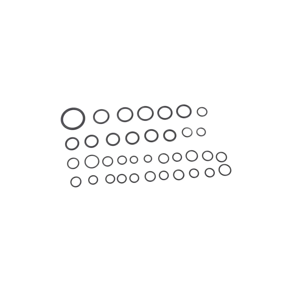 [AMAT2-206829] Garnitură inelară 81825772N