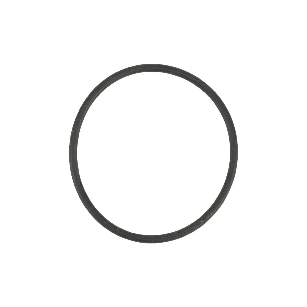 [AMAT2-221102] O-ring OR 55,2x3mm 9104300021