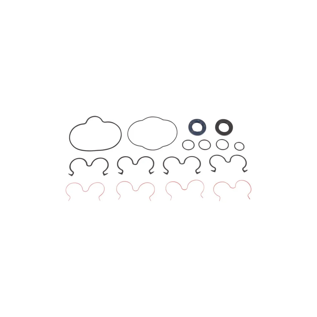 [AMAT2-214222] Kit, garnituri pompă hidraulică 85813244