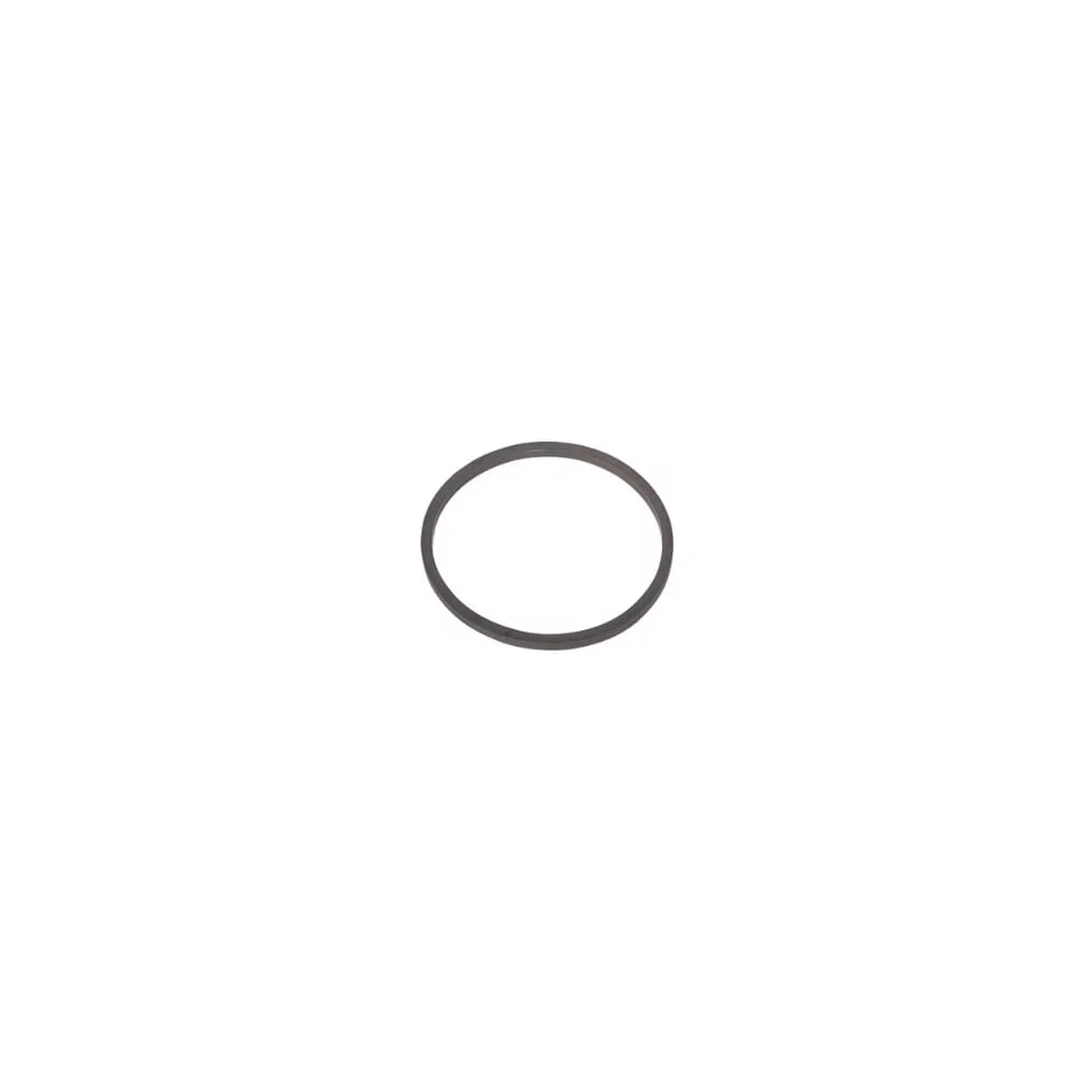 [AMAT2-230964] Inel cauciuc 98429617FPT
