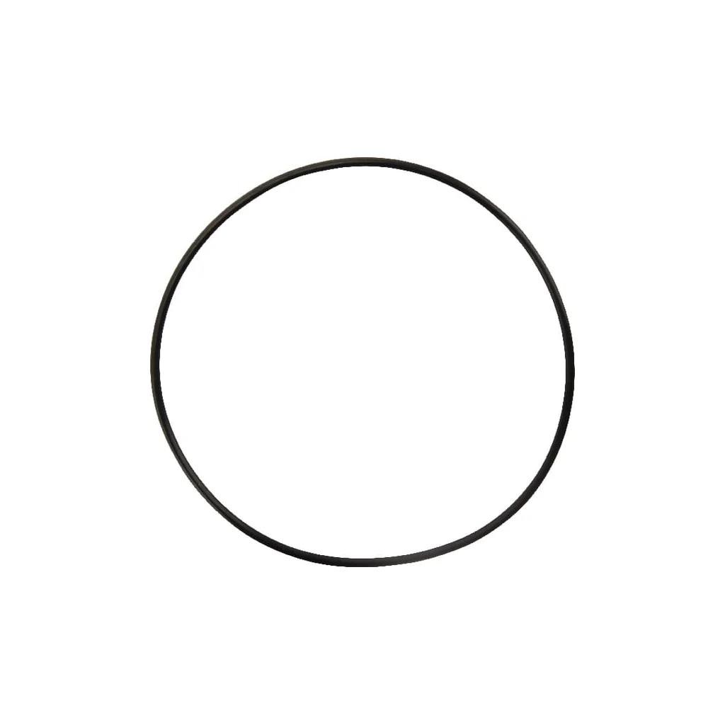 [AMAT2-226792] O-ring 151,99x3,53mm 9375680