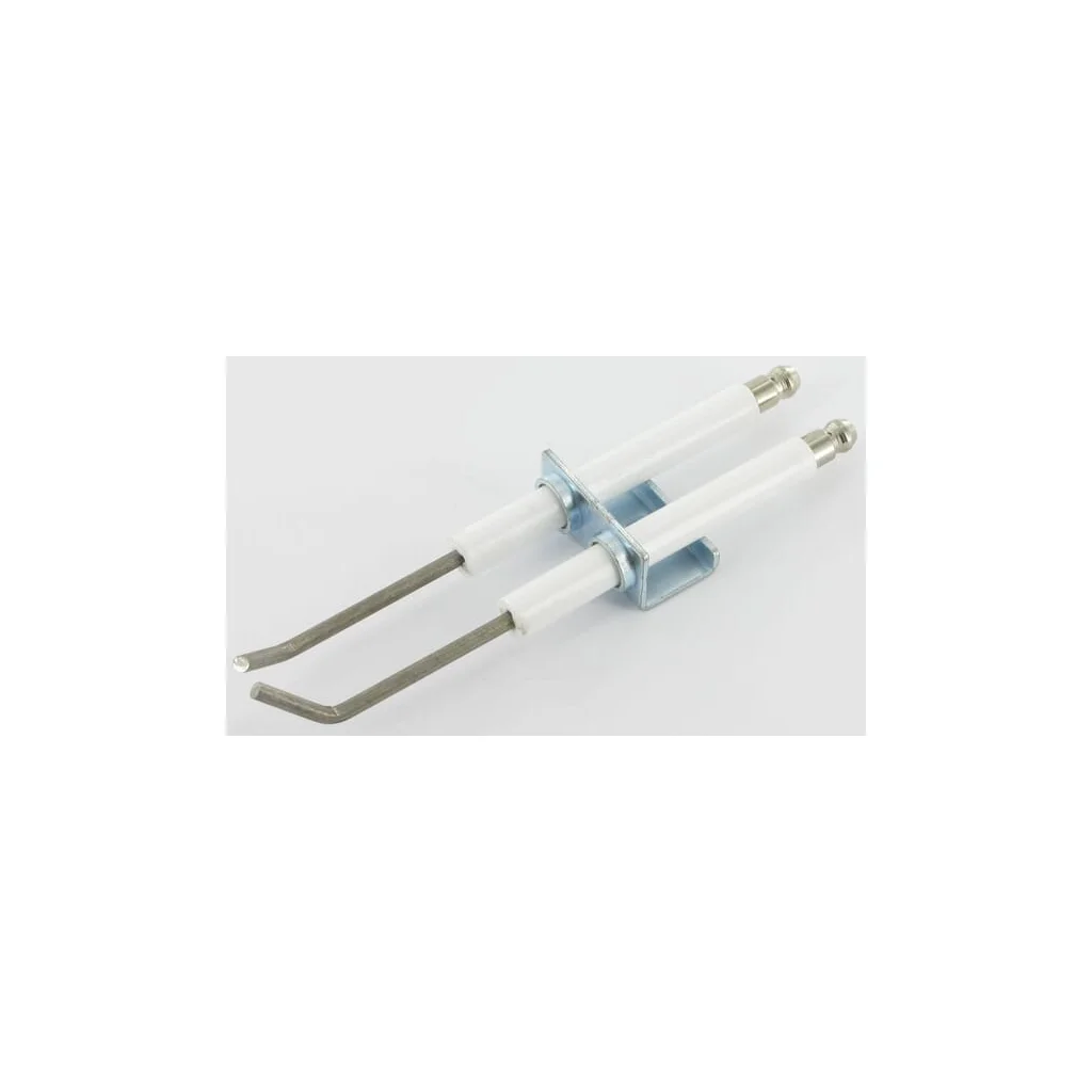 [AMAT2-219671] Electrod din 1998 9021030002100