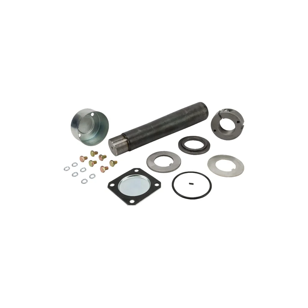 [AMAT2-231874] Set reparaţii pivot 60/69/368 9RSW02