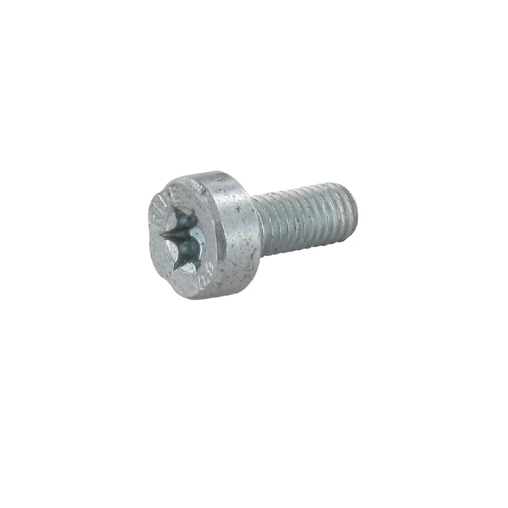 [AMAT2-220030] Șurub cu cap cilindric IS-M 5x12 90223410960