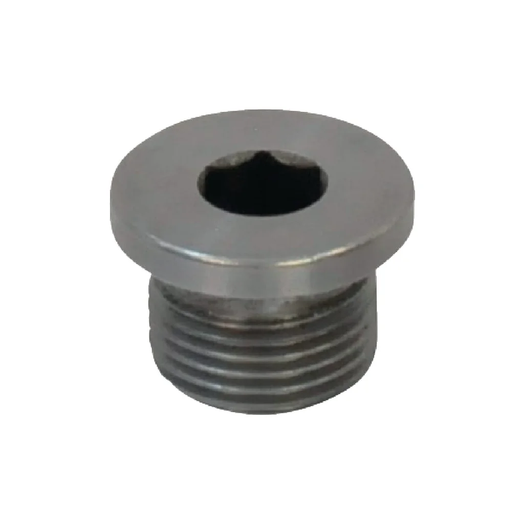 [AMAT2-220131] Dop filetat cap cilindric orificiu hexagonal DIN908 3/8" 9113100105