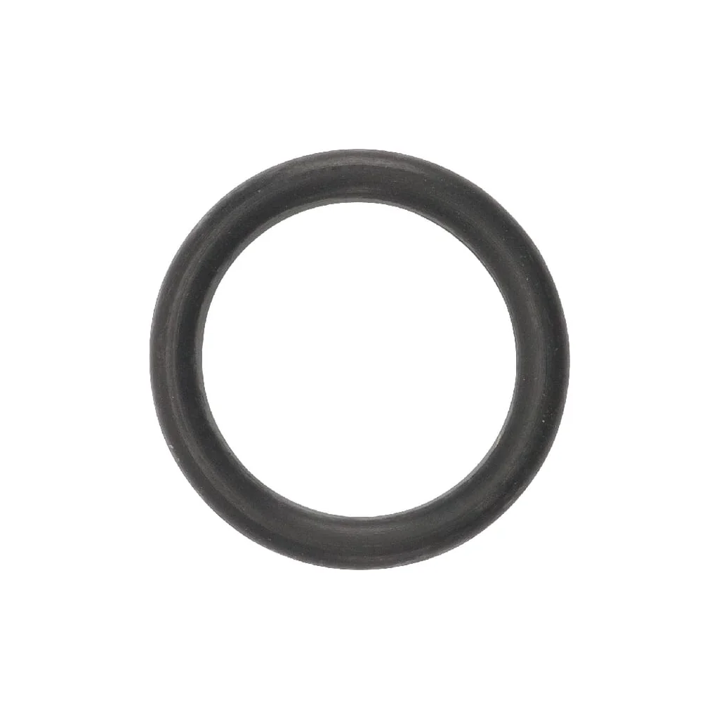 [AMAT2-229293] O-ring 9617873