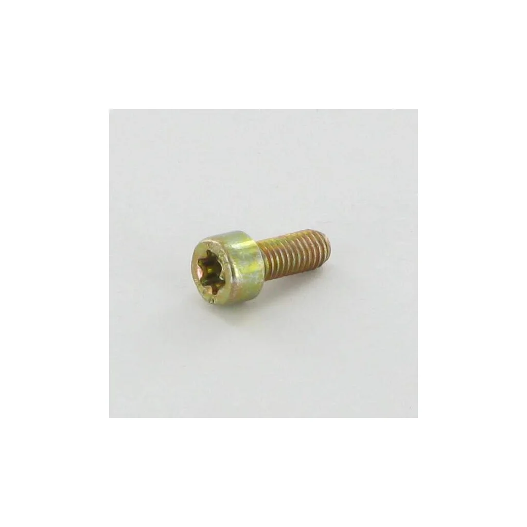 [AMAT2-254644] Şurub Torx M5x12 ALP2135180