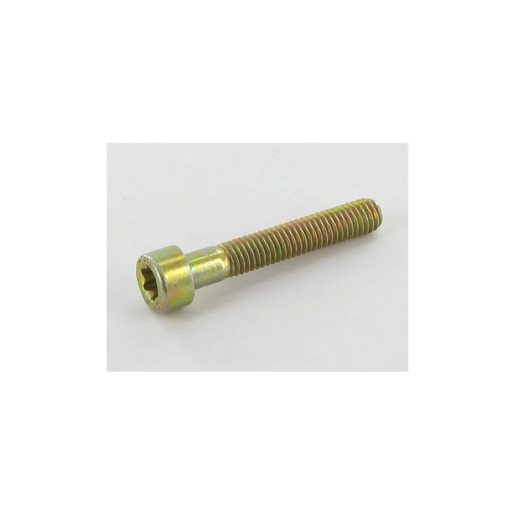 [AMAT2-254720] Şurub Torx M5x30 ALP2135050